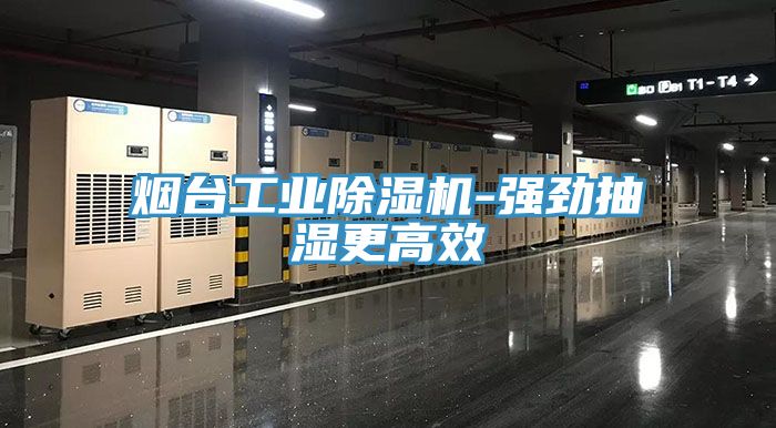 煙臺(tái)工業(yè)除濕機(jī)-強(qiáng)勁抽濕更高效
