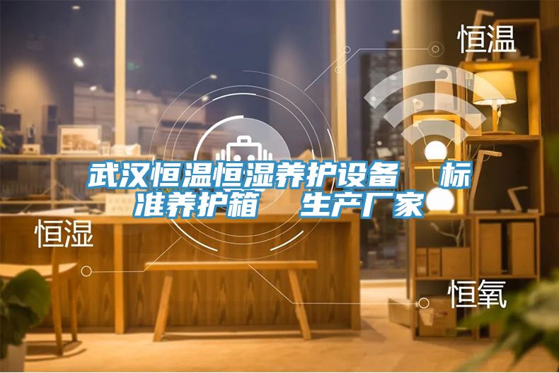 武漢恒溫恒濕養(yǎng)護(hù)設(shè)備  標(biāo)準(zhǔn)養(yǎng)護(hù)箱  生產(chǎn)廠家