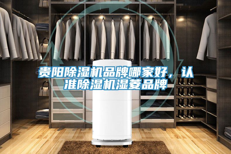 貴陽(yáng)除濕機(jī)品牌哪家好，認(rèn)準(zhǔn)除濕機(jī)濕菱品牌