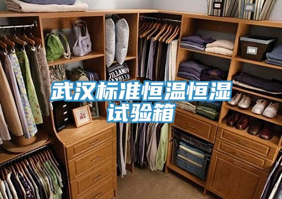 武漢標(biāo)準(zhǔn)恒溫恒濕試驗(yàn)箱