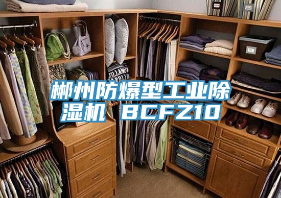 郴州防爆型工業(yè)除濕機 BCFZ10