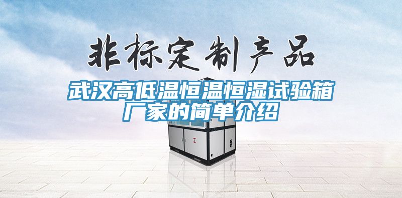 武漢高低溫恒溫恒濕試驗(yàn)箱廠家的簡單介紹