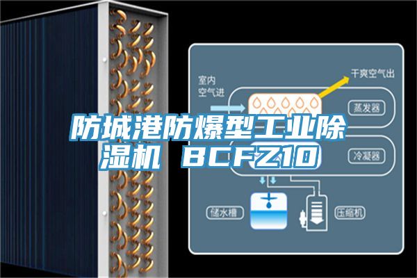 防城港防爆型工業(yè)除濕機(jī) BCFZ10