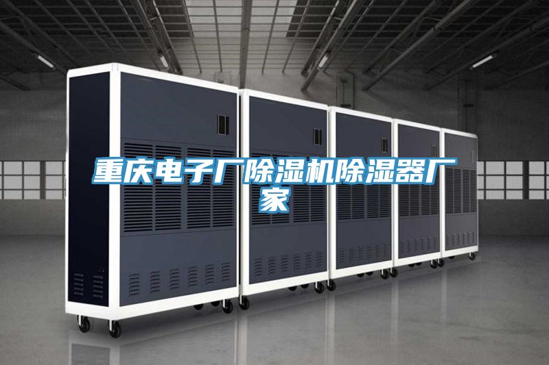 重慶電子廠除濕機(jī)除濕器廠家