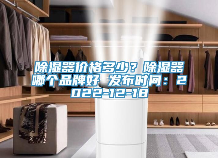 除濕器價(jià)格多少？除濕器哪個(gè)品牌好 發(fā)布時(shí)間：2022-12-18