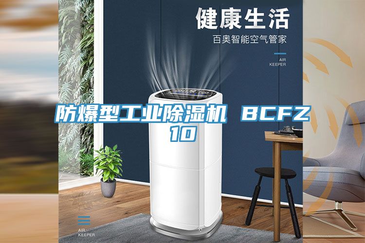 防爆型工業(yè)除濕機 BCFZ10