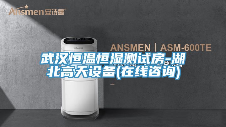 武漢恒溫恒濕測(cè)試房-湖北高天設(shè)備(在線咨詢)