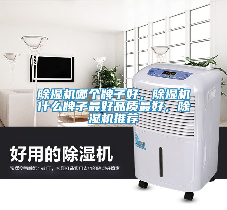 除濕機(jī)哪個(gè)牌子好，除濕機(jī)什么牌子最好品質(zhì)最好，除濕機(jī)推薦
