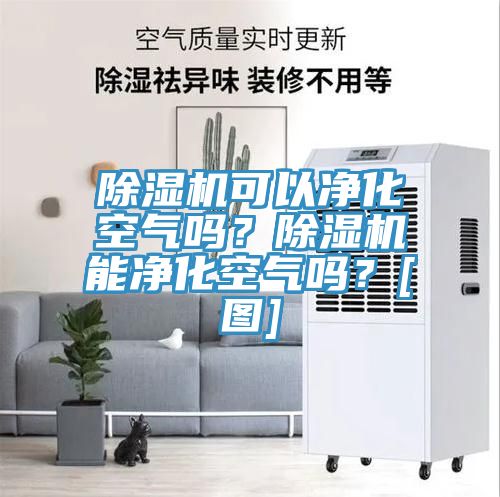 除濕機(jī)可以凈化空氣嗎？除濕機(jī)能凈化空氣嗎？[圖]