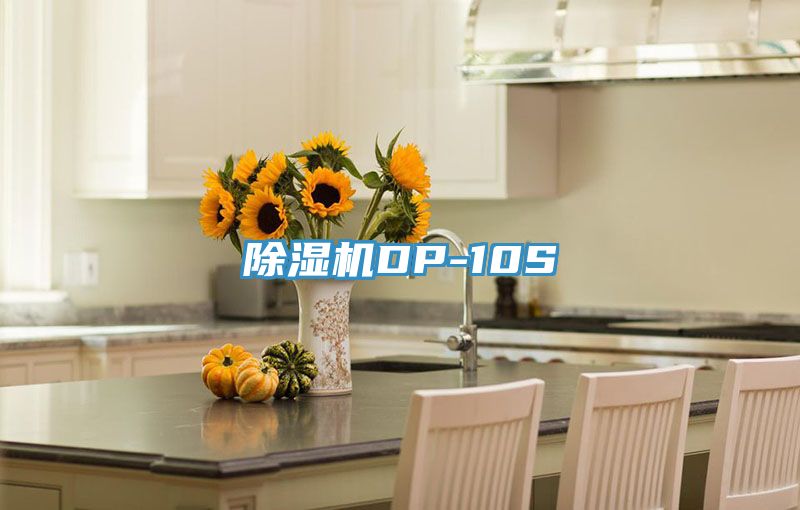 除濕機(jī)DP-10S