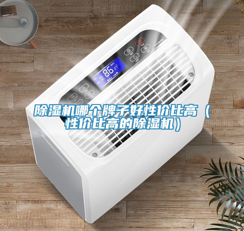 除濕機(jī)哪個牌子好性價比高（性價比高的除濕機(jī)）