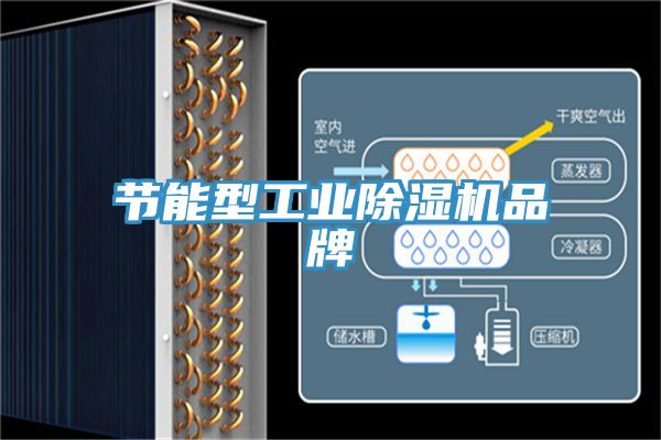 節(jié)能型工業(yè)除濕機品牌