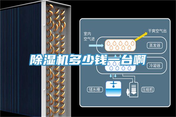 除濕機(jī)多少錢一臺(tái)啊