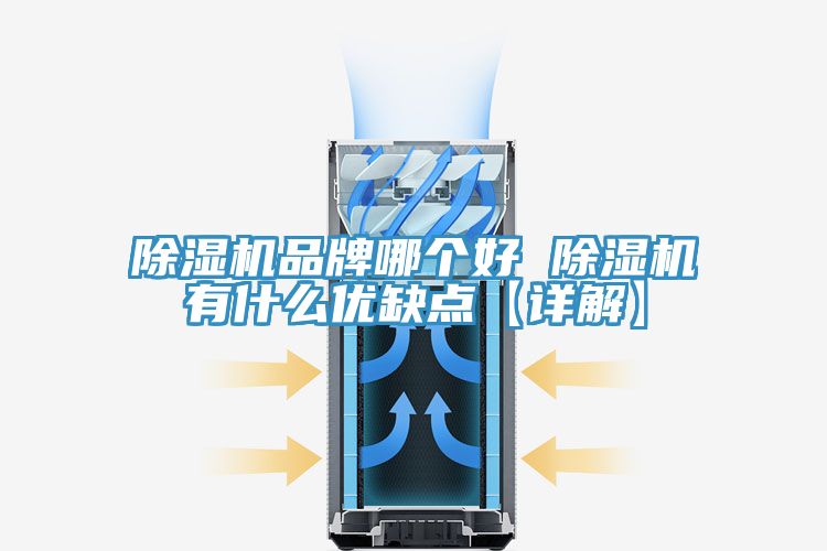 除濕機(jī)品牌哪個(gè)好 除濕機(jī)有什么優(yōu)缺點(diǎn)【詳解】