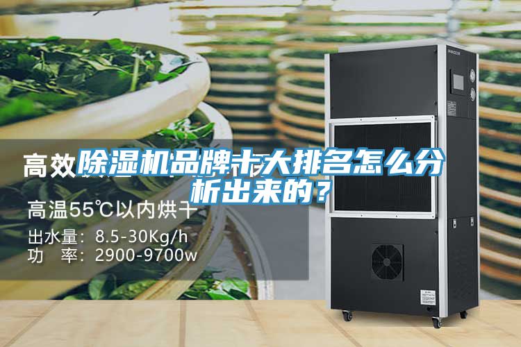 除濕機品牌十大排名怎么分析出來的？