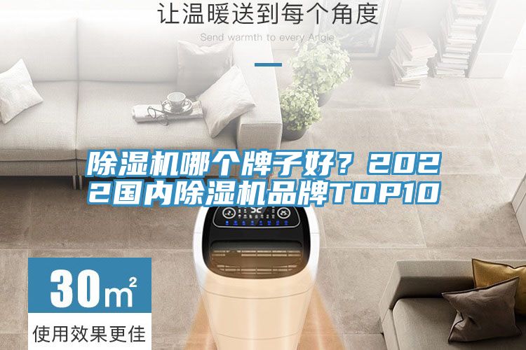除濕機哪個牌子好？2022國內除濕機品牌TOP10
