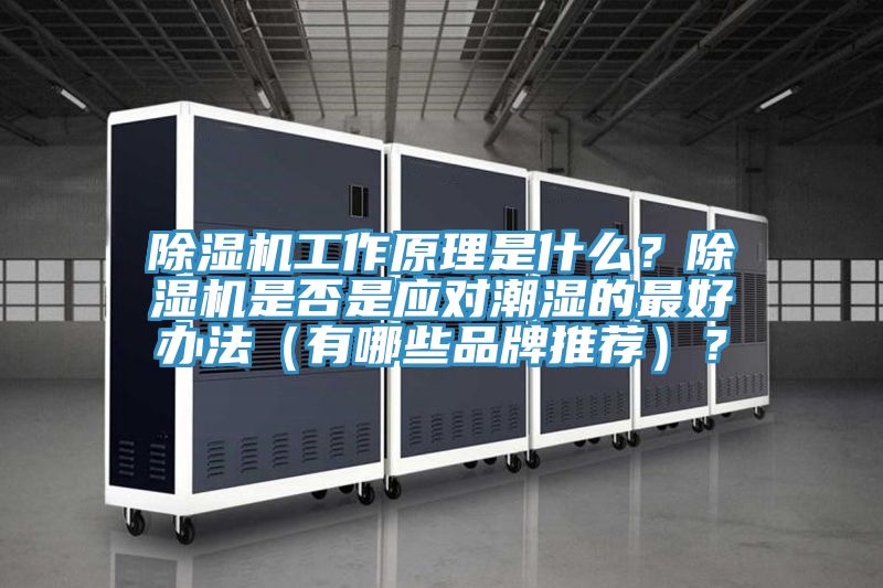 除濕機(jī)工作原理是什么？除濕機(jī)是否是應(yīng)對潮濕的最好辦法（有哪些品牌推薦）？