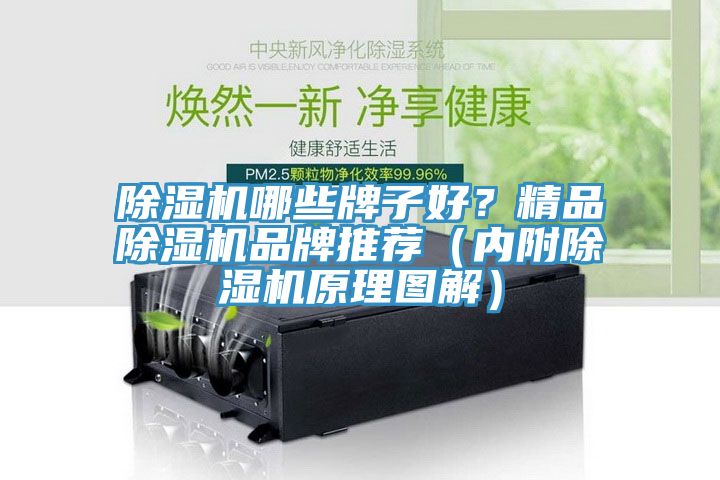 除濕機哪些牌子好？精品除濕機品牌推薦（內(nèi)附除濕機原理圖解）