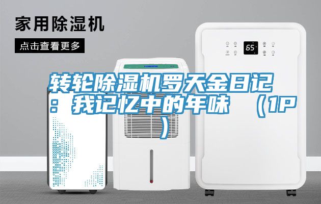 轉(zhuǎn)輪除濕機羅天金日記：我記憶中的年味 （1P）