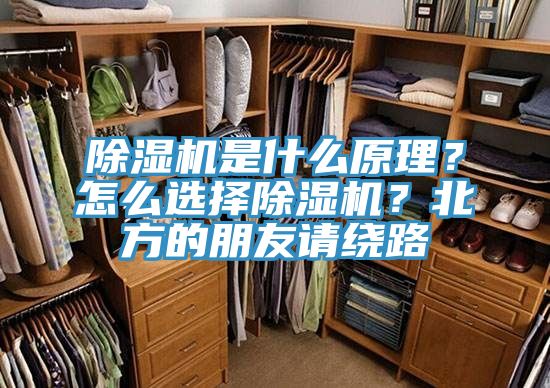 除濕機(jī)是什么原理？怎么選擇除濕機(jī)？北方的朋友請繞路