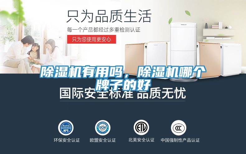 除濕機(jī)有用嗎，除濕機(jī)哪個(gè)牌子的好