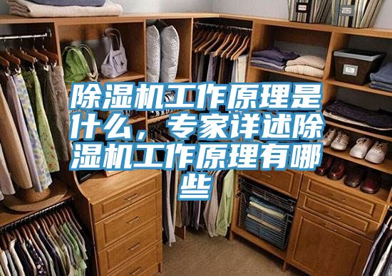 除濕機(jī)工作原理是什么，專家詳述除濕機(jī)工作原理有哪些