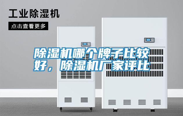 除濕機(jī)哪個(gè)牌子比較好，除濕機(jī)廠家評(píng)比