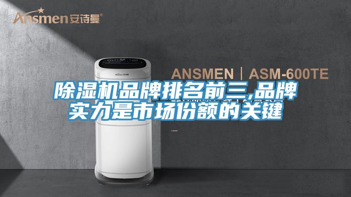 除濕機(jī)品牌排名前三,品牌實(shí)力是市場(chǎng)份額的關(guān)鍵