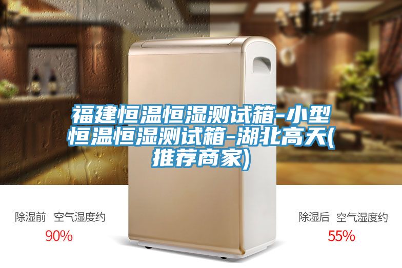 福建恒溫恒濕測(cè)試箱-小型恒溫恒濕測(cè)試箱-湖北高天(推薦商家)