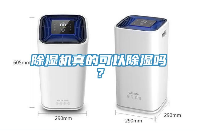 除濕機(jī)真的可以除濕嗎？