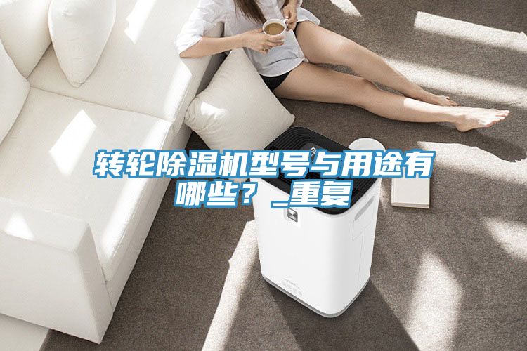 轉輪除濕機型號與用途有哪些？_重復