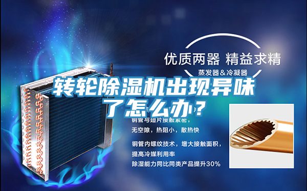 轉輪除濕機出現(xiàn)異味了怎么辦？