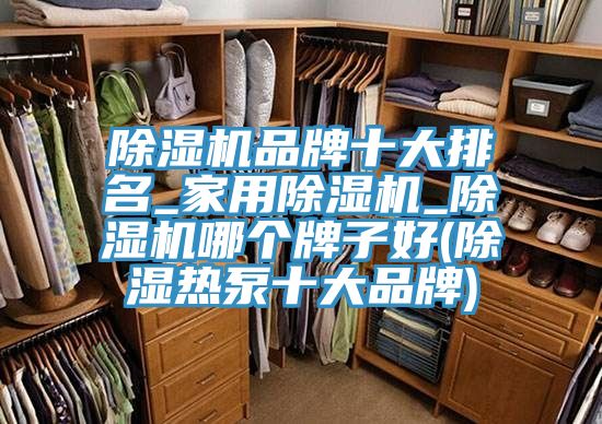 除濕機品牌十大排名_家用除濕機_除濕機哪個牌子好(除濕熱泵十大品牌)