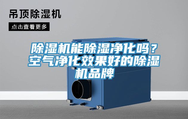 除濕機能除濕凈化嗎？空氣凈化效果好的除濕機品牌