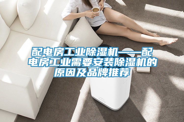 配電房工業(yè)除濕機(jī)——配電房工業(yè)需要安裝除濕機(jī)的原因及品牌推薦