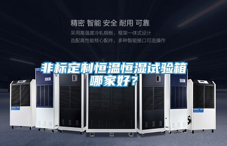 非標(biāo)定制恒溫恒濕試驗(yàn)箱哪家好？