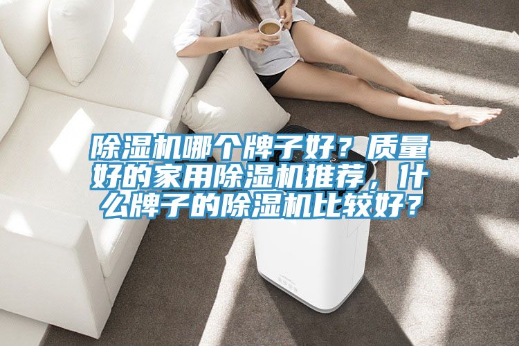 除濕機(jī)哪個(gè)牌子好？質(zhì)量好的家用除濕機(jī)推薦，什么牌子的除濕機(jī)比較好？