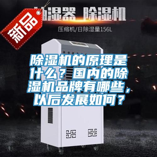 除濕機的原理是什么？國內(nèi)的除濕機品牌有哪些，以后發(fā)展如何？