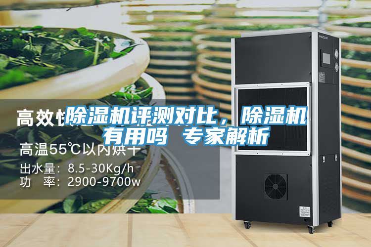 除濕機(jī)評(píng)測(cè)對(duì)比，除濕機(jī)有用嗎 專家解析