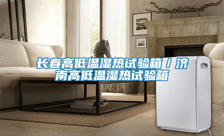 長春高低溫濕熱試驗(yàn)箱／濟(jì)南高低溫濕熱試驗(yàn)箱