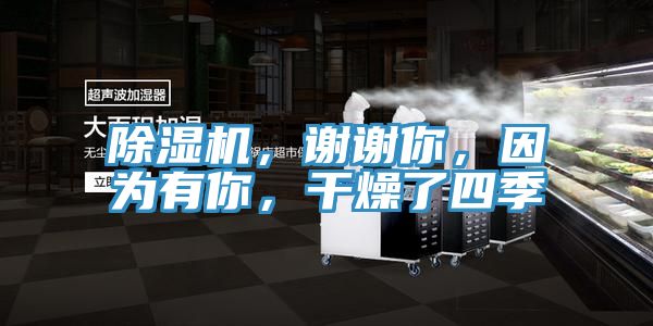 除濕機(jī)，謝謝你，因?yàn)橛心?，干燥了四?></div>
								<div   id=