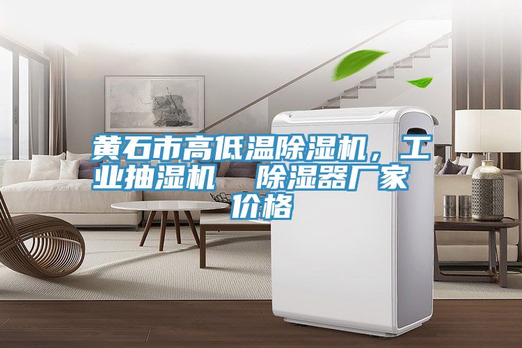 黃石市高低溫除濕機，工業(yè)抽濕機  除濕器廠家 價格