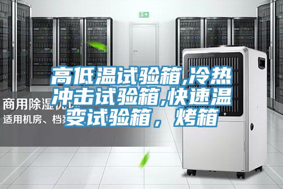 高低溫試驗箱,冷熱沖擊試驗箱,快速溫變試驗箱，烤箱