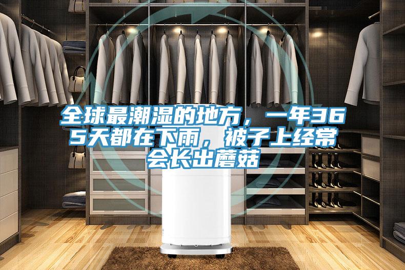 全球最潮濕的地方，一年365天都在下雨，被子上經(jīng)常會長出蘑菇
