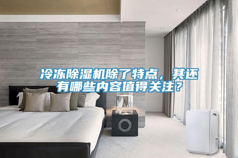 冷凍除濕機(jī)除了特點(diǎn)，其還有哪些內(nèi)容值得關(guān)注？