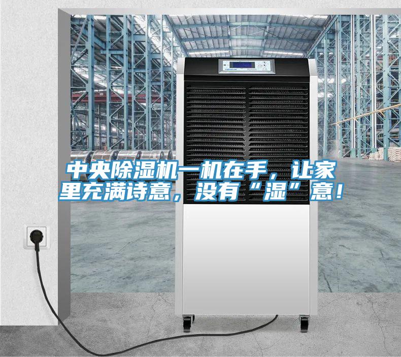 中央除濕機(jī)一機(jī)在手，讓家里充滿詩意，沒有“濕”意！
