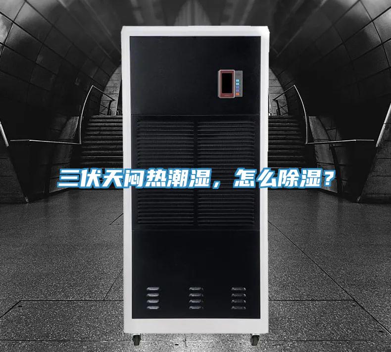 三伏天悶熱潮濕，怎么除濕？