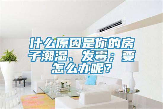 什么原因是你的房子潮濕、發(fā)霉；要怎么辦呢？
