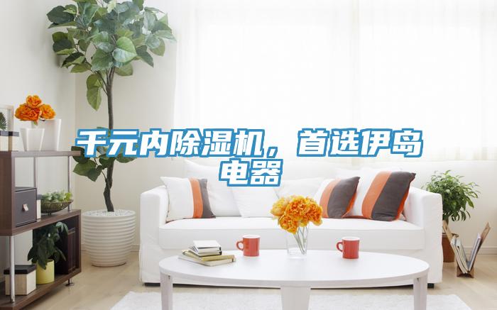 千元內(nèi)除濕機(jī)，首選伊島電器