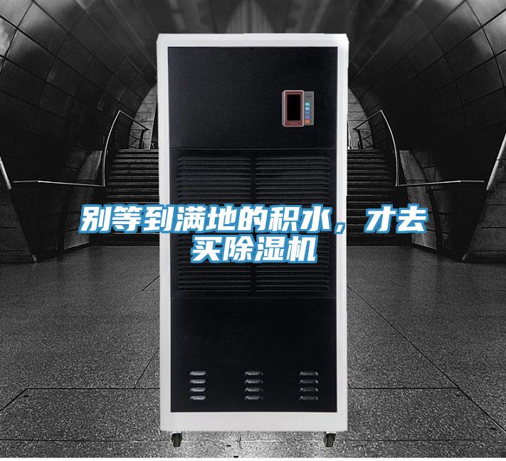 別等到滿地的積水，才去買除濕機(jī)